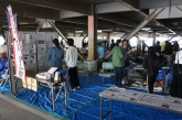 第16回動物愛護フェスタ2019 会場の様子