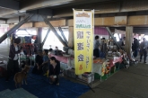 第16回動物愛護フェスタ2019 会場の様子