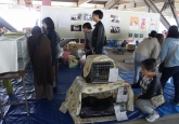 第16回動物愛護フェスタ2019 会場の様子
