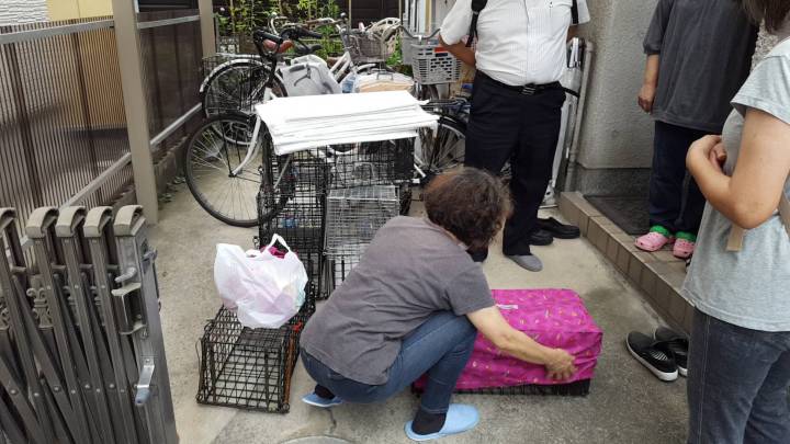 地域猫のさくらねこTNR活動