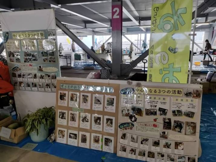 動物愛護イベントの会場